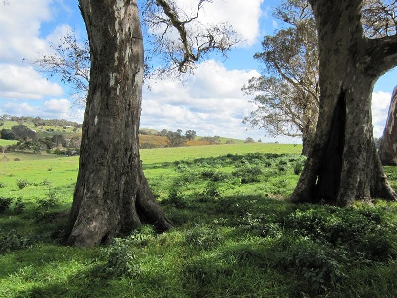 Lot 6 Springton Road, Williamstown SA 5351