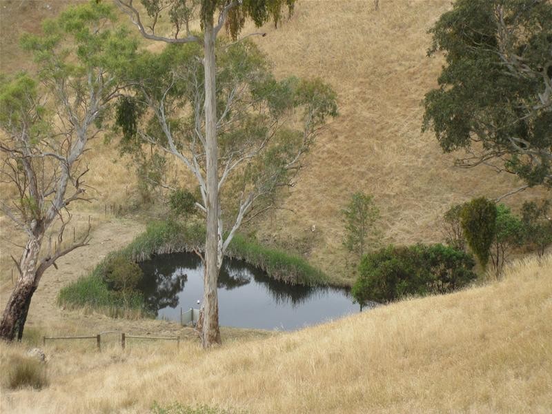 167 Hooper Road, Kersbrook SA 5231