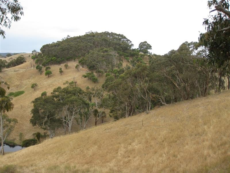 167 Hooper Road, Kersbrook SA 5231