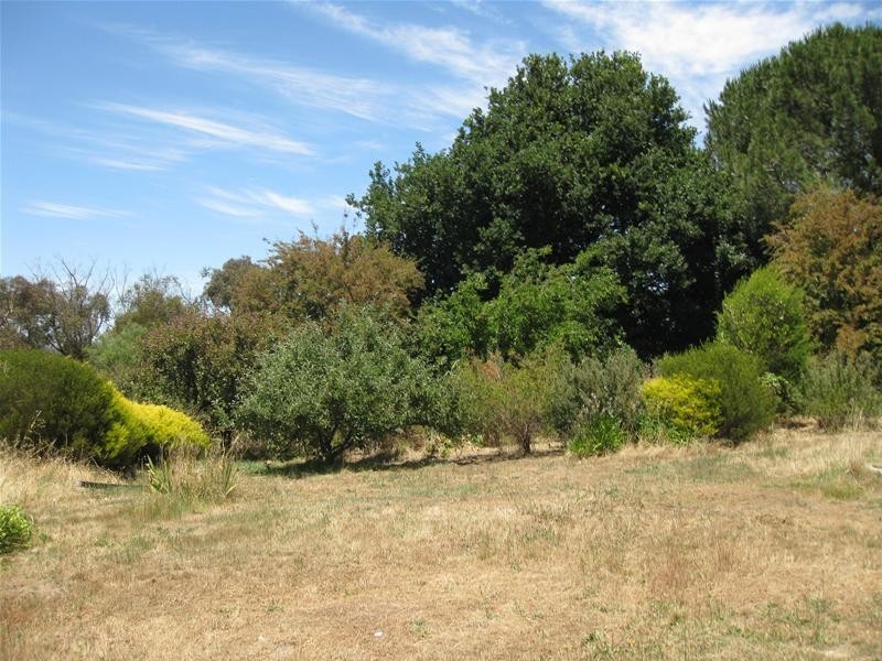 151 Winton Road, Birdwood SA 5234