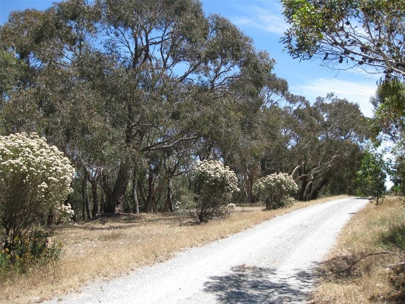 151 Winton Road, Birdwood SA 5234