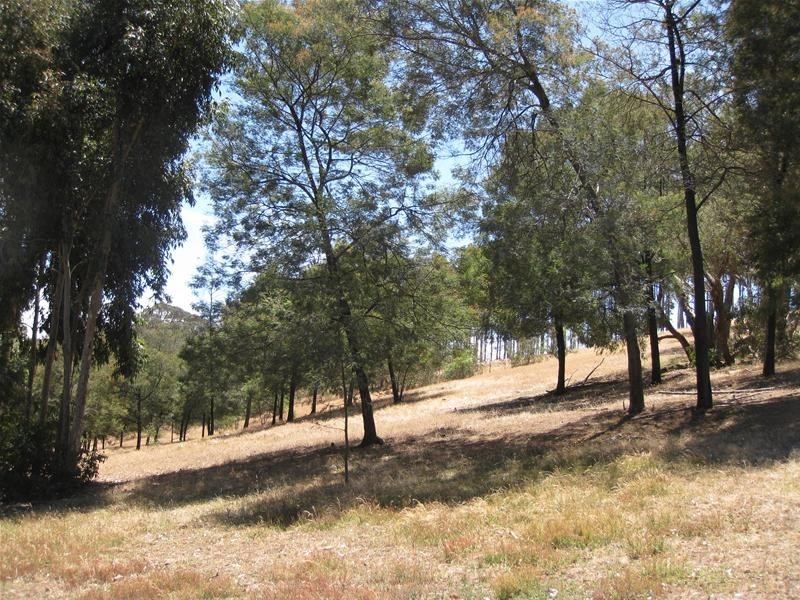 151 Winton Road, Birdwood SA 5234