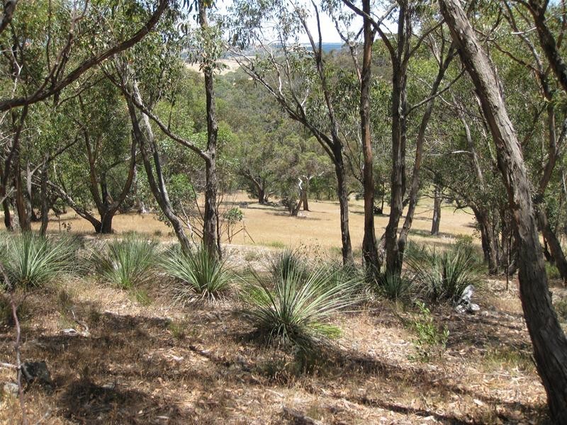 151 Winton Road, Birdwood SA 5234