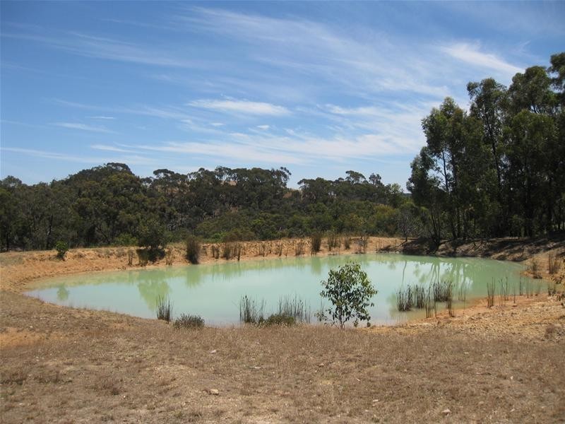 151 Winton Road, Birdwood SA 5234