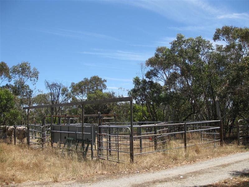 151 Winton Road, Birdwood SA 5234