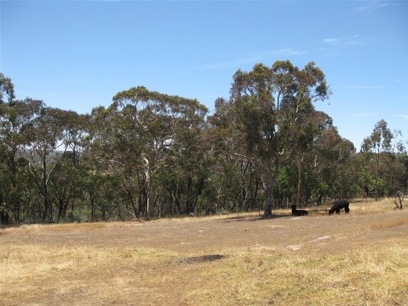 151 Winton Road, Birdwood SA 5234