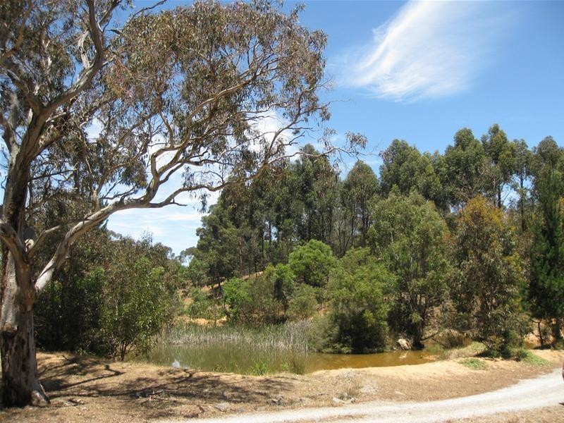 151 Winton Road, Birdwood SA 5234