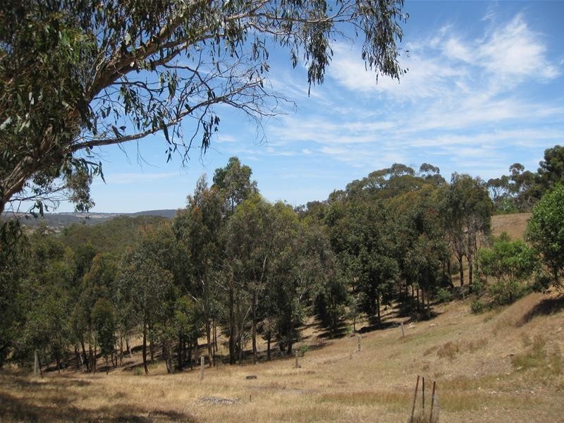 151 Winton Road, Birdwood SA 5234