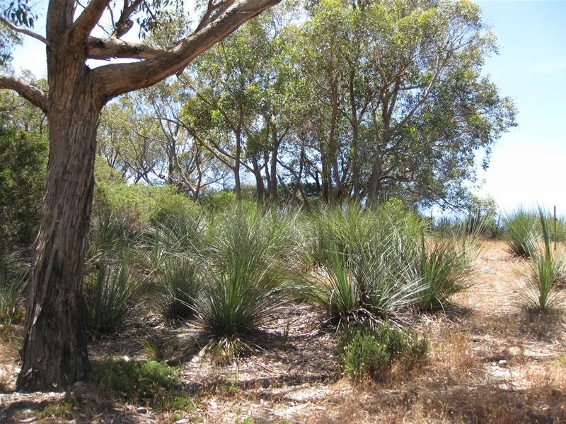 151 Winton Road, Birdwood SA 5234