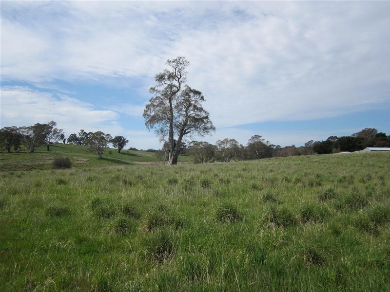 827 Torrens Valley Road, Birdwood SA 5234