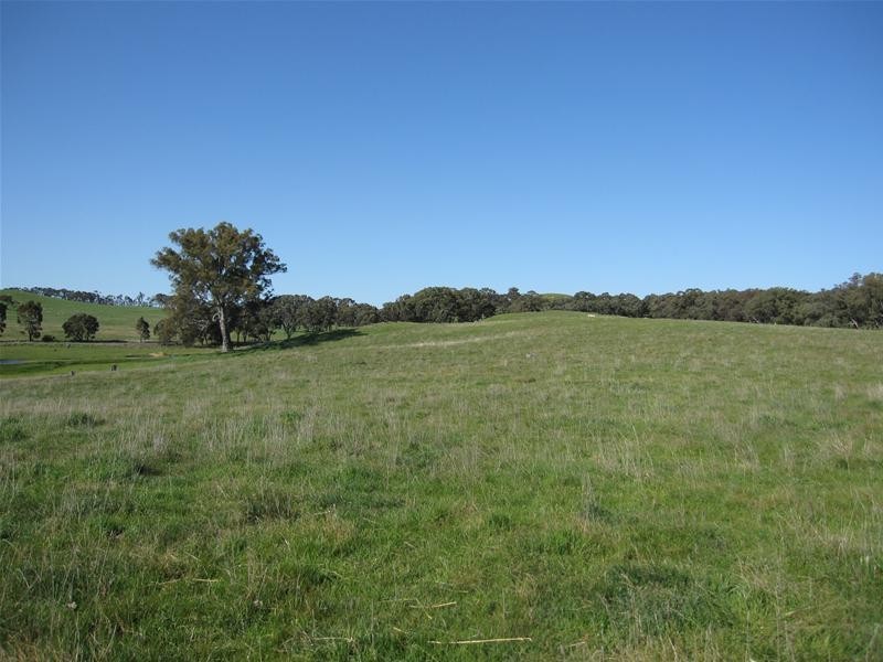 Lot 105 R Hicks Road, Mount Torrens SA 5244