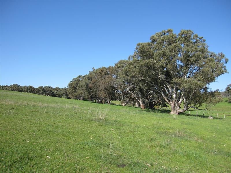 Lot 105 R Hicks Road, Mount Torrens SA 5244