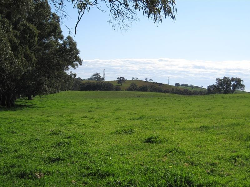 Lot 105 R Hicks Road, Mount Torrens SA 5244