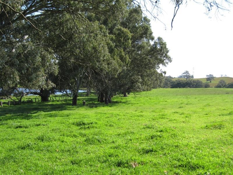 Lot 105 R Hicks Road, Mount Torrens SA 5244