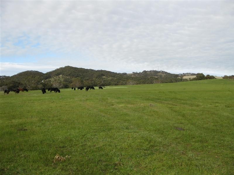 Lot 314, Lot 314 Smith Road, Kersbrook SA 5231