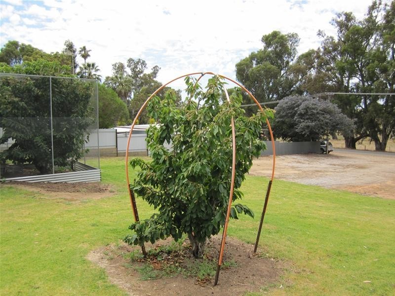 Lot 283, 283 Cnr Williams & Daly Street, Springton SA 5235