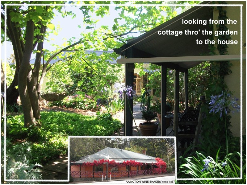 1 Olivedale Street, Birdwood SA 5234