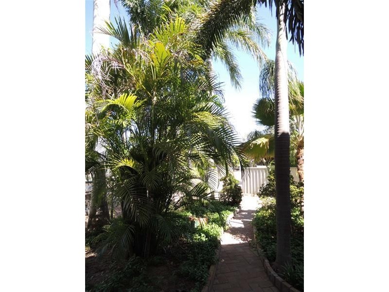 3 Kurrajong Street, Kununurra WA 6743