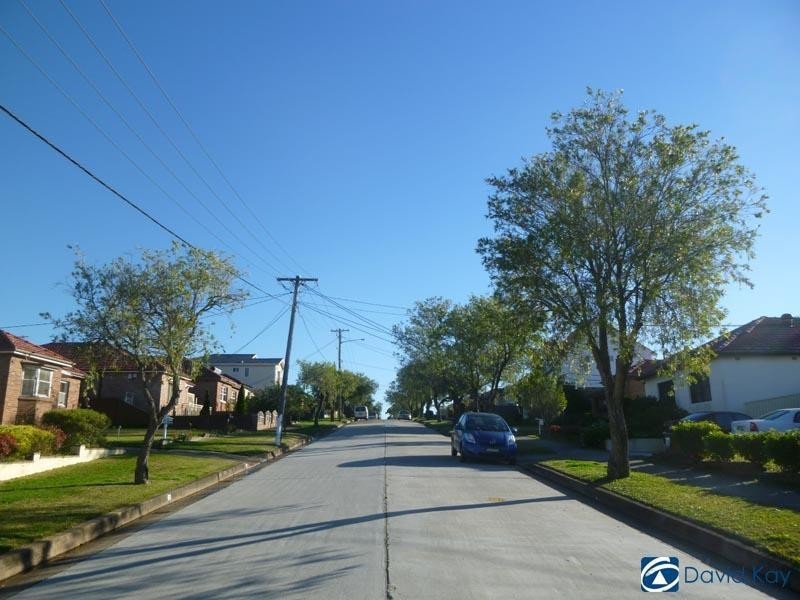 43 Alfred Street, Clemton Park NSW 2206