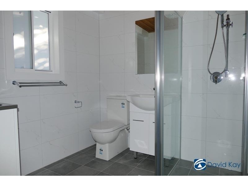 22 Chelmsford Avenue, Belmore NSW 2192