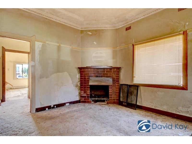 29 Pheasant Street, Canterbury NSW 2193