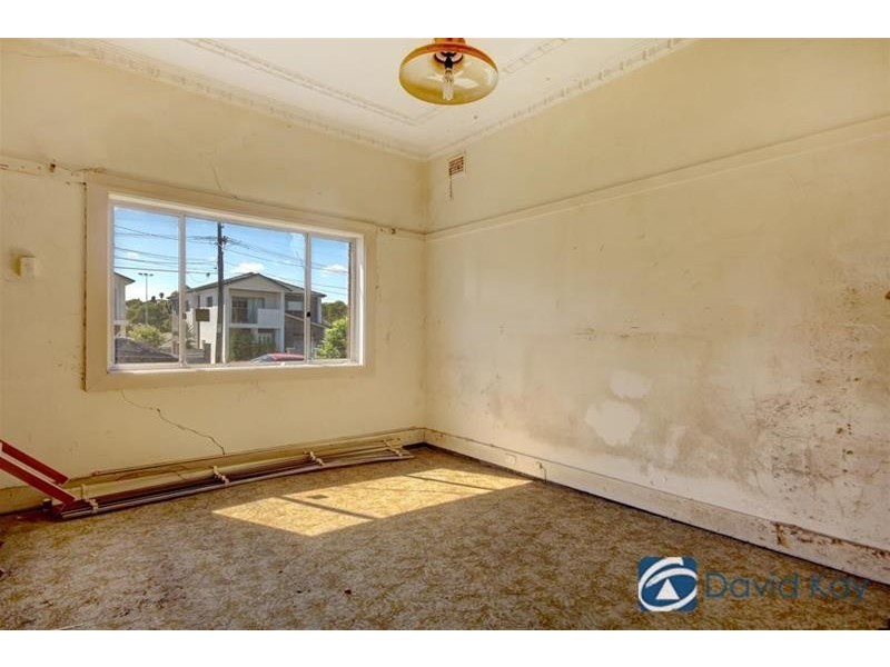 29 Pheasant Street, Canterbury NSW 2193