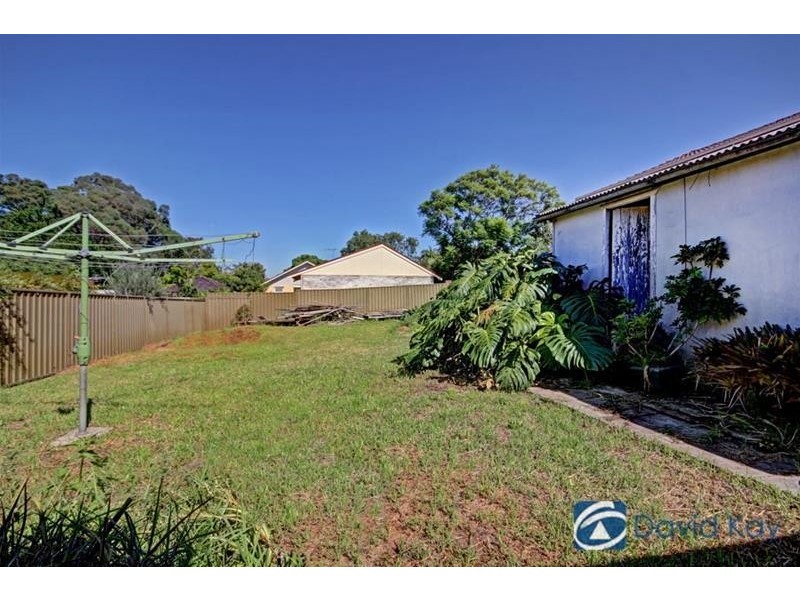 29 Pheasant Street, Canterbury NSW 2193