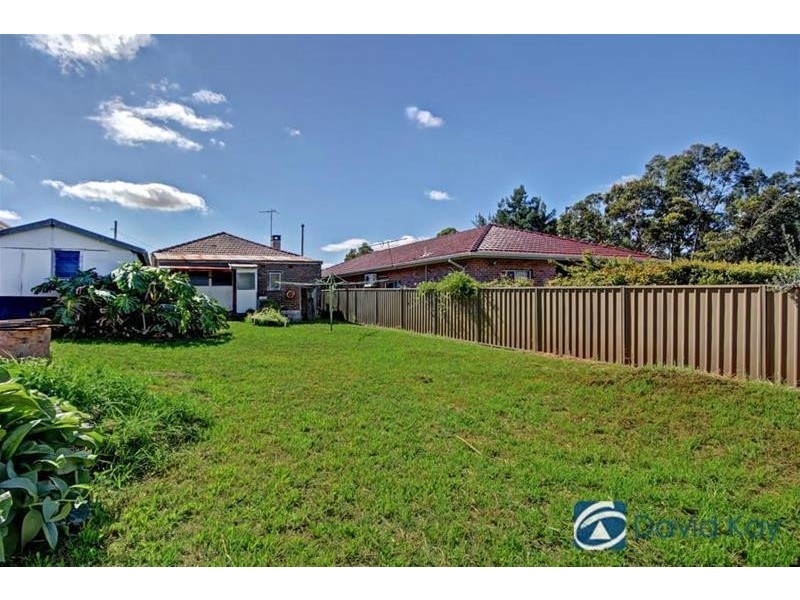 29 Pheasant Street, Canterbury NSW 2193