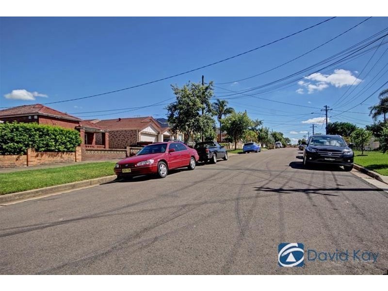 29 Pheasant Street, Canterbury NSW 2193