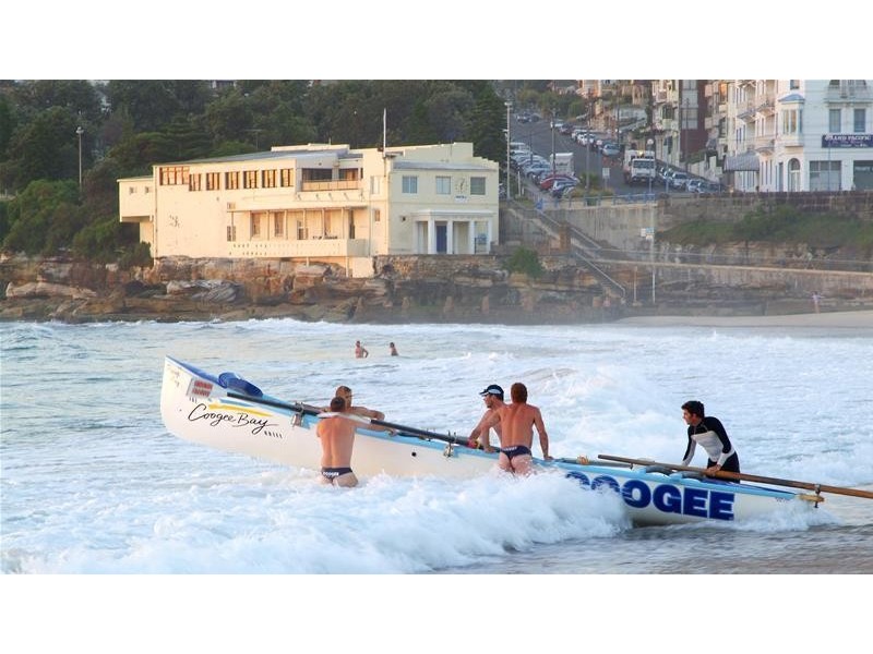 3/124 Brook Street, Coogee NSW 2034