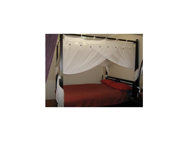 72 Robey Street, Maroubra NSW 2035