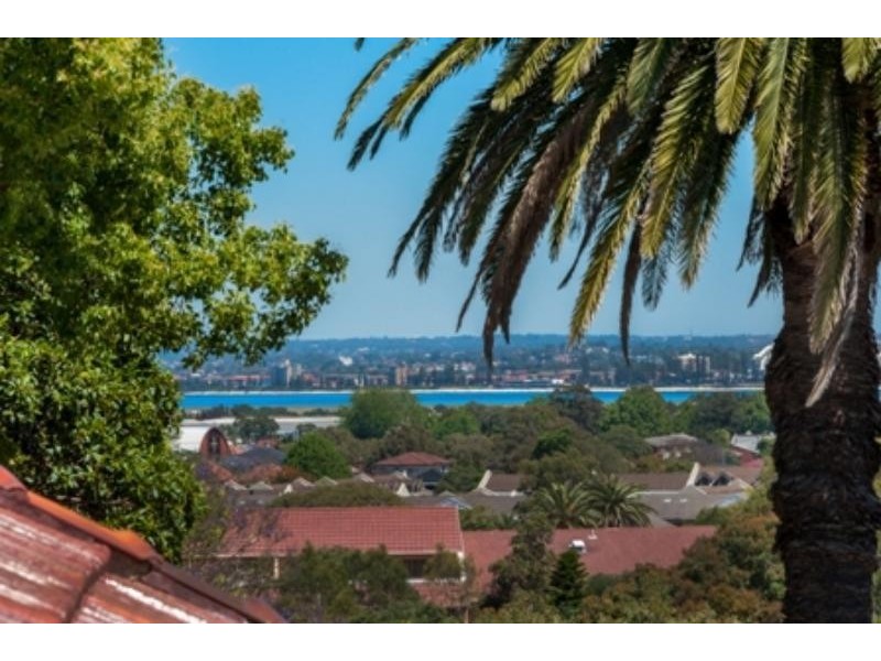 29 Dudley Street, Pagewood NSW 2035