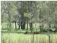 Lot 5 Micalo Road, Micalo Island NSW 2464