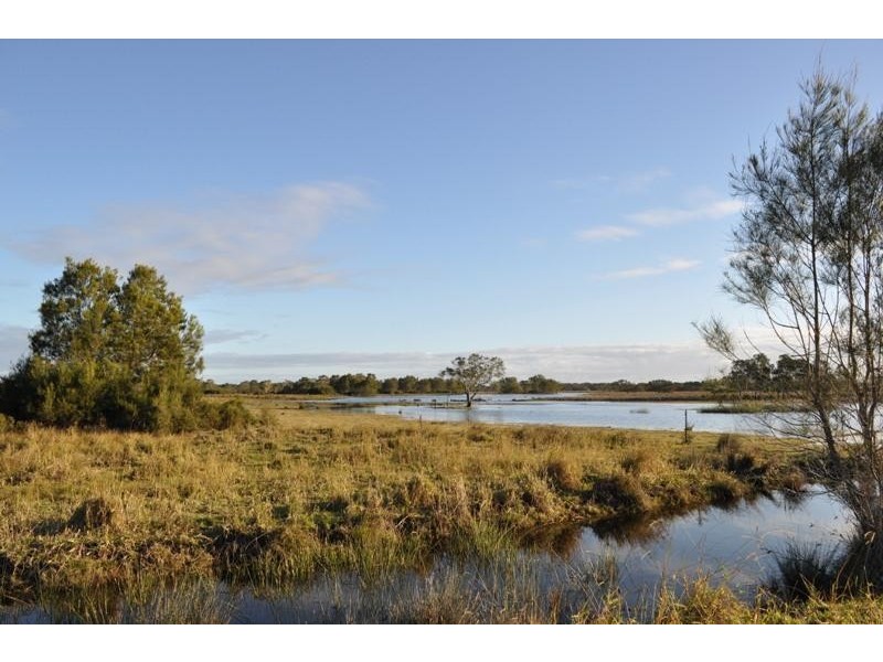 Micalo Island NSW 2464