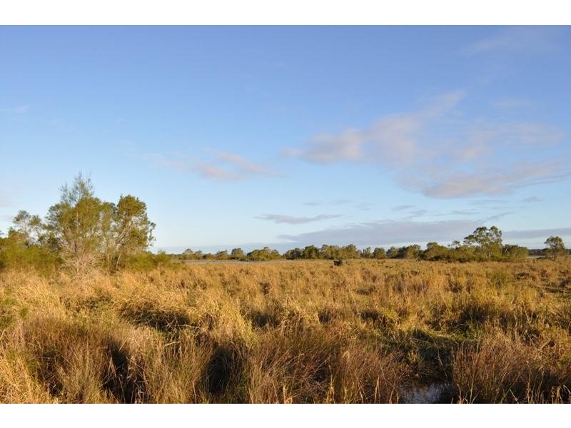 Micalo Island NSW 2464