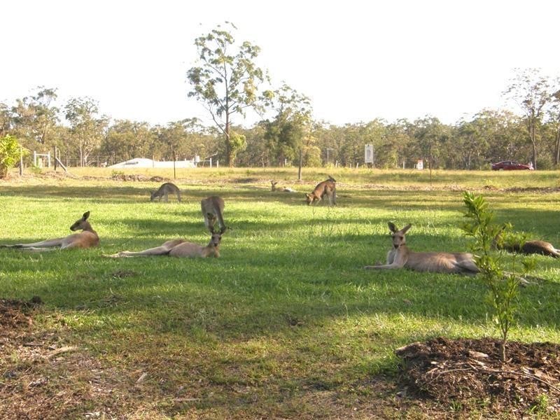 Gulmarrad NSW 2463