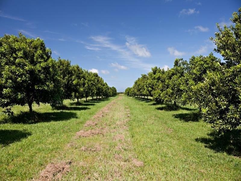 Palmers Channel NSW 2463