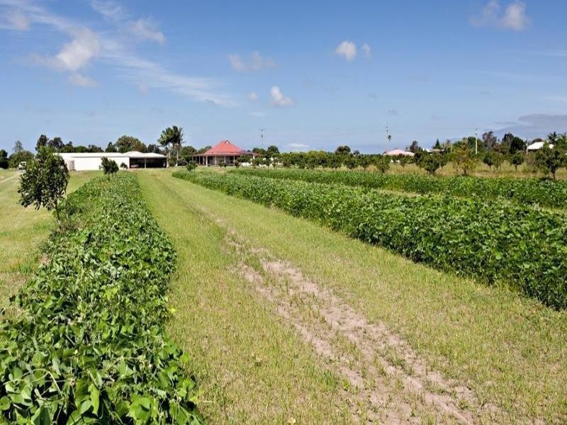 Palmers Channel NSW 2463