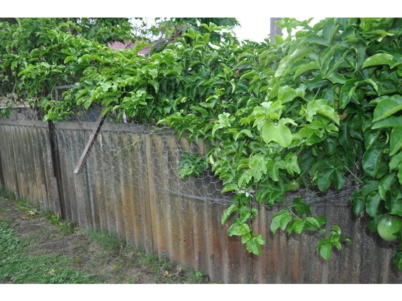 17 Hakea Avenue, Yamba NSW 2464