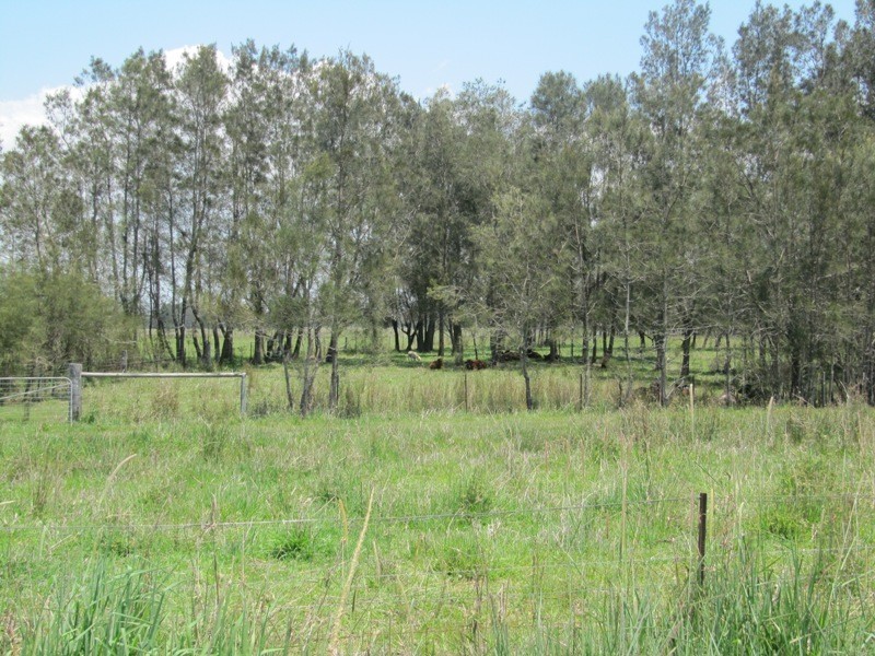 Micalo Island NSW 2464