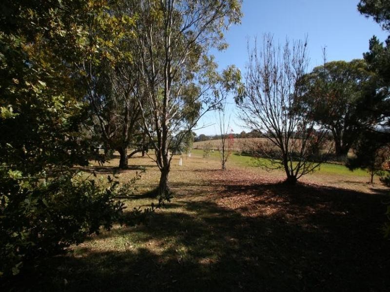 229 Convent Lane, Borenore NSW 2800