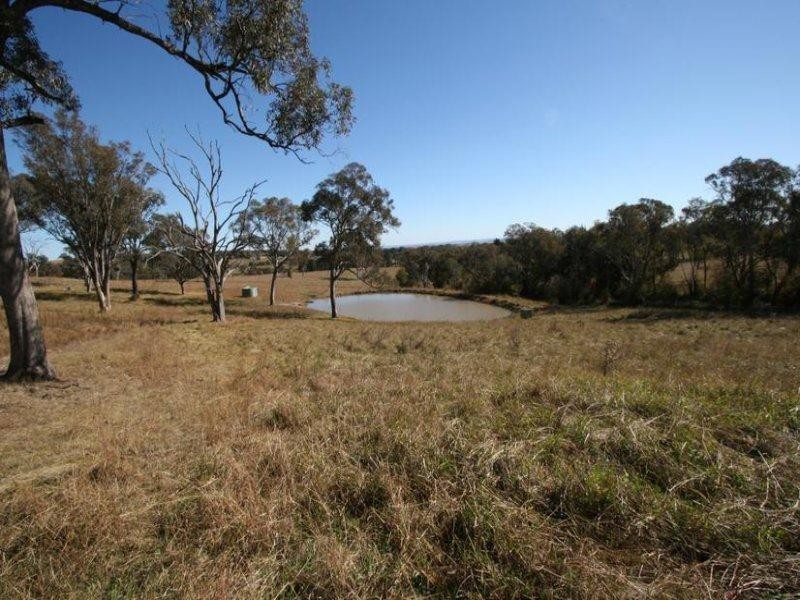 229 Convent Lane, Borenore NSW 2800