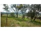 Federation Way, Manildra NSW 2865