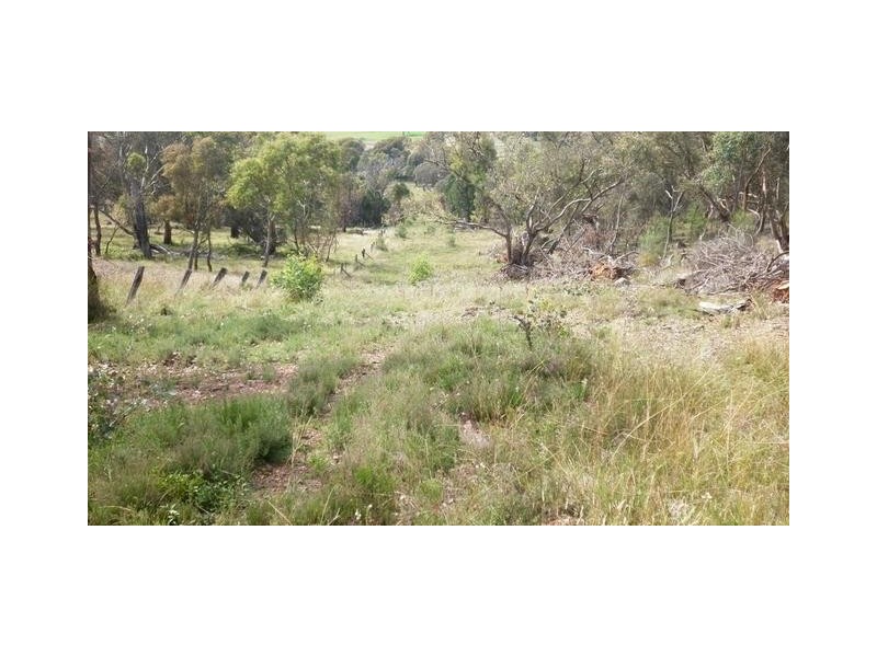 Federation Way, Manildra NSW 2865