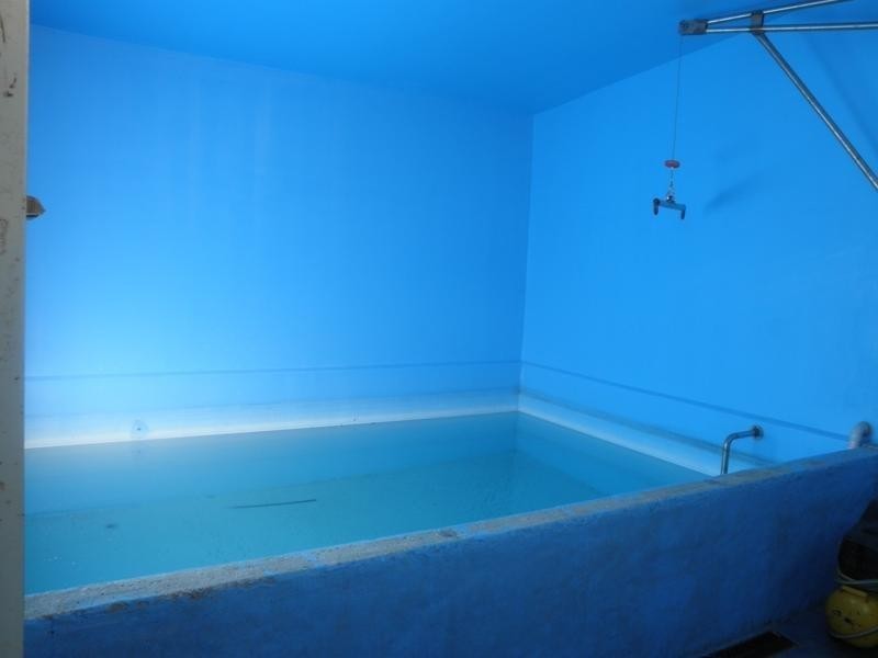 5145 Henry Parkes Way, Manildra NSW 2865