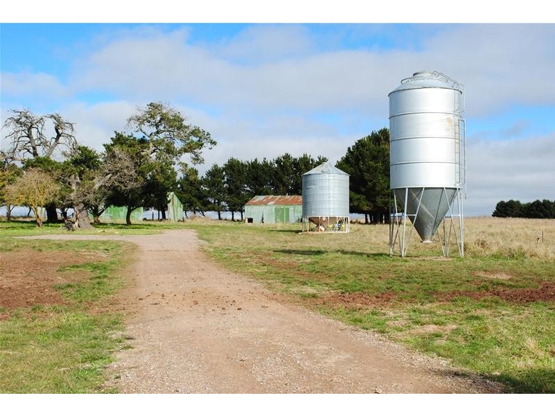 Spring Terrace Road, Orange NSW 2800