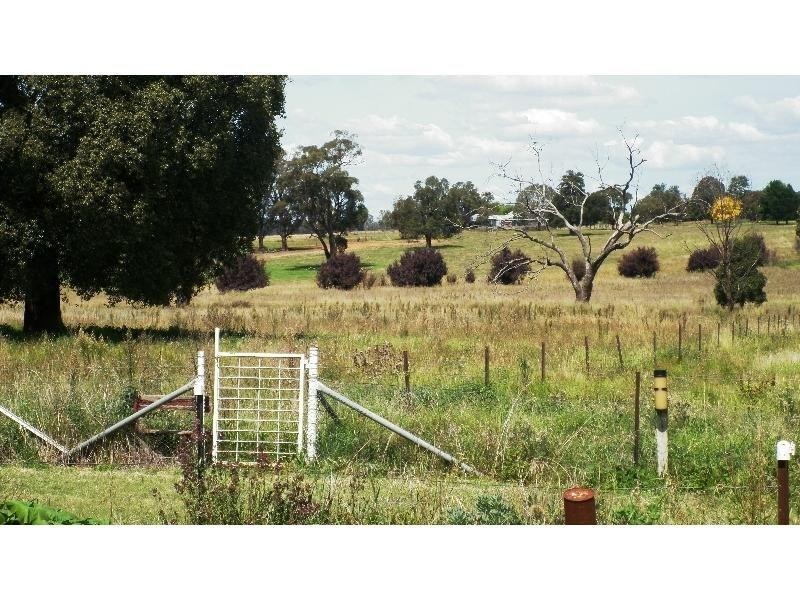 821 Scenic Drive, Molong NSW 2866