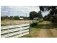 821 Scenic Drive, Molong NSW 2866