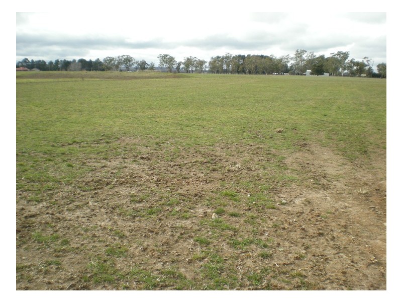 Carcoar Street, Spring Hill NSW 2800