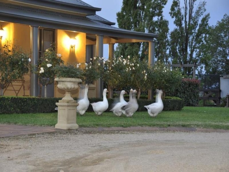 442 The Escort Way, Orange NSW 2800